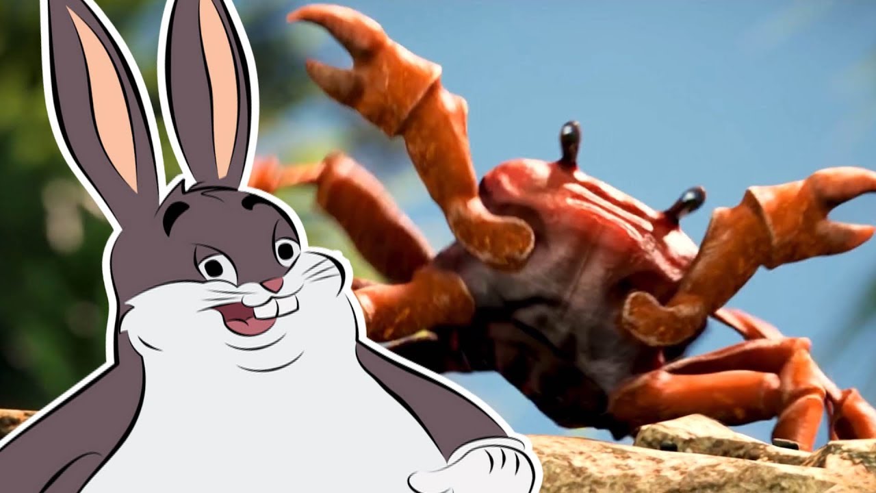 Big Chungus Song Reaction By Zmd Studios - so i was playing roblox you cant say skrata or 399