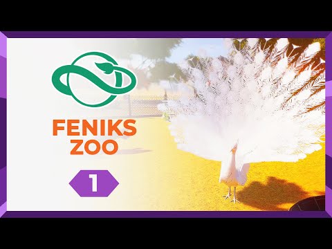 Wideo: Zoo Feniks: Kompletny przewodnik