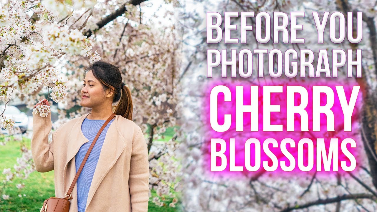 Watch This BEFORE You Shoot Cherry Blossom Photos