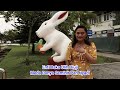 Ref:YSbfuj6Sxi0 Pengidup aku malam belama - amia (official music video)