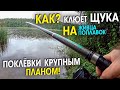 Поехал за СУДАКОМ а наловил ЩУК. Ловля ЩУКИ на живца в конце лета. КАК ЛОВИТЬ ЩУКУ \ Līdaku cope