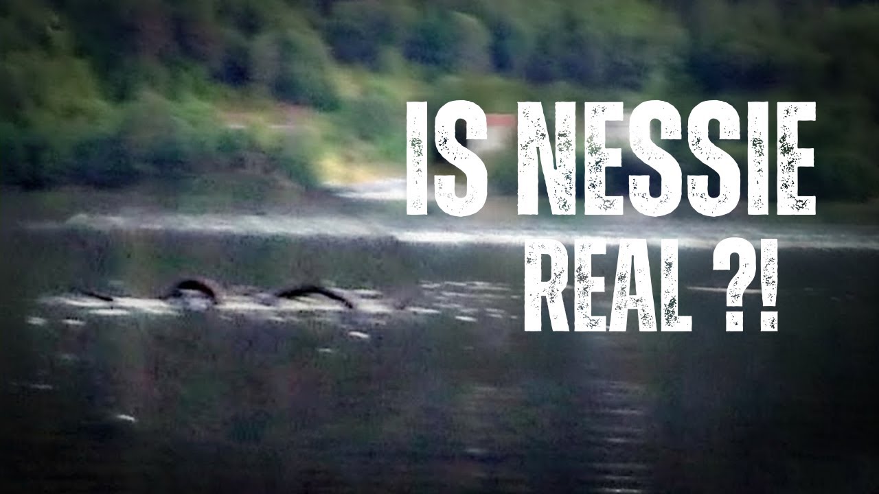 Hidden Habitats: Monster or Mirage? The Ultimate Loch Ness Investigation!
