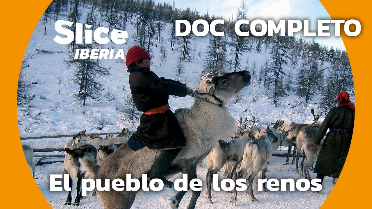 Migración Sagrada: Retrato de los Nómadas Dukha en Mongolia | SLICE Iberia | DOCUMENTAL COMPLETO