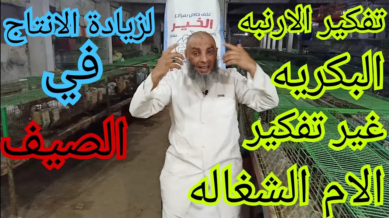 تعالوا نضحك علي الارنب و نشتغله ونخليه بسهوله ينتج في الصيف