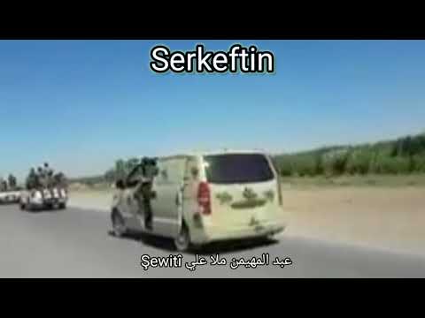 Serkeftin