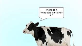 Cow Error 225