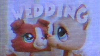 LPS Music Video: Lets Skip to the Wedding - Eyedress
Hey, its BBK Studios! This is an mv I wanted to make for the love of my life, Alan, in honor of Valentines Day. I hope you enjoy this mv, tell us what you think down below!
Message for Alan:
My love, words cant express how much I adore you. I love you with all my heart and I hope you know that no matter how far apart we are, I will always be right by your side in spirit and you will always have my whole heart my everything. You are the light of my life, I have adored you since the very first moment our eyes met. Being with you has been a dream come true my love, and I look forward to all our future memories together my everything. I love you and miss you the mostest mostest mostest 💛
- James 💛
Music used in this video is not our own, credited down below.
Lets Skip to the Wedding by Eyedress
#ae #lpedits #aeedit #edit #aftereffects #lpsmv #littlestpetshop LPS Music Video: Lets Skip to the Wedding - Eyedress