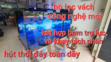 Bể cá lọc vách công nghệ mới/ aquarium design vt/ bottom filter aquarium