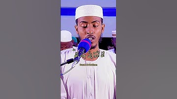 سورة الدخان قاري عفيف محمد تاج #سورة #الله #الشيخ #تلاوات #القرآن #quran #viral #اللهم #reels #قران