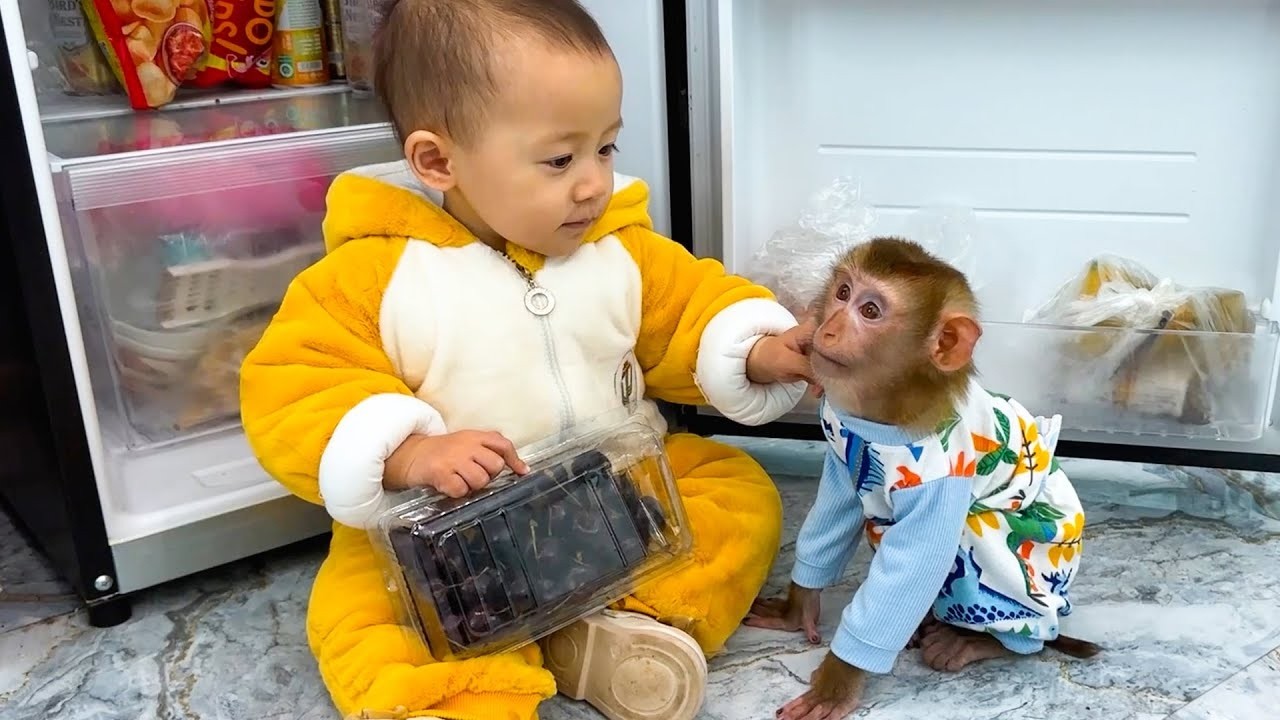 Diem and Monkey Kaka brought a box of cherries for Mom to peel and eat.