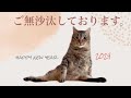 一年ぶりのYouTubeです