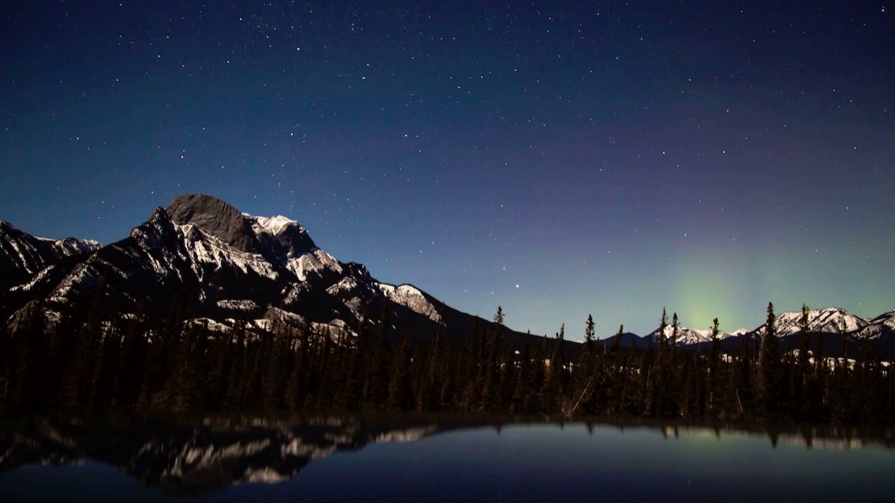 Watch Tyzo Bloom - T O N I G H T on YouTube Watch Tyzo Bloom - T O N I G H T on YouTube