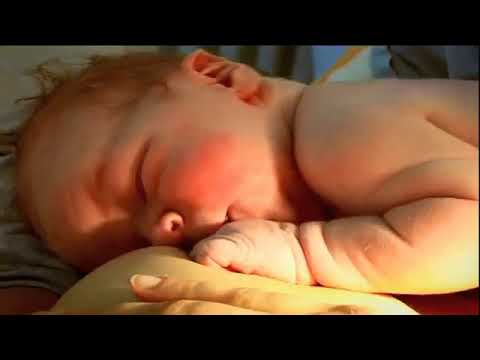 Video: Je Možné čakanku Piť Počas Dojčenia