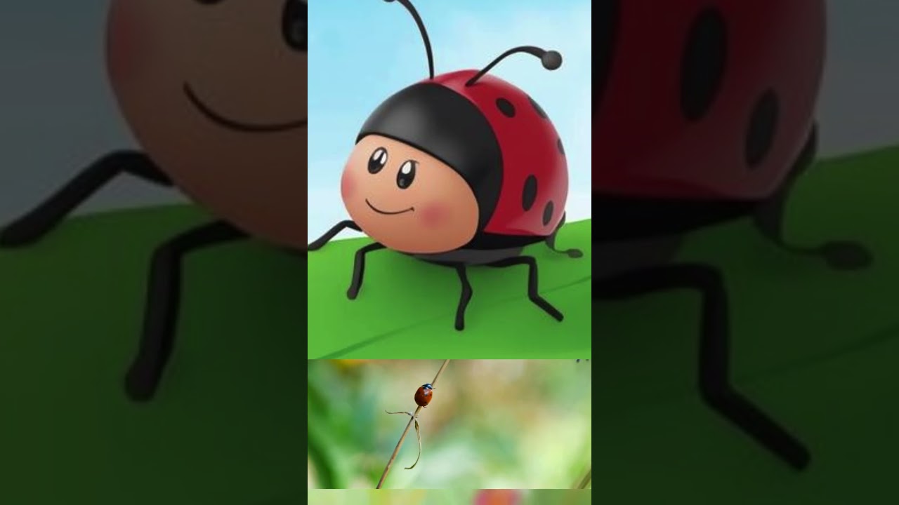 Backyard Bugs 🐞 | Parts 1 | More Coming Soon! 🌿