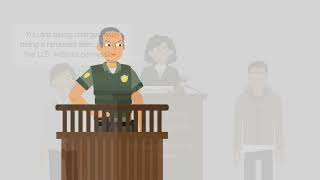United States v. Diaz-Lopez Case Brief Summary | Law Case Explained