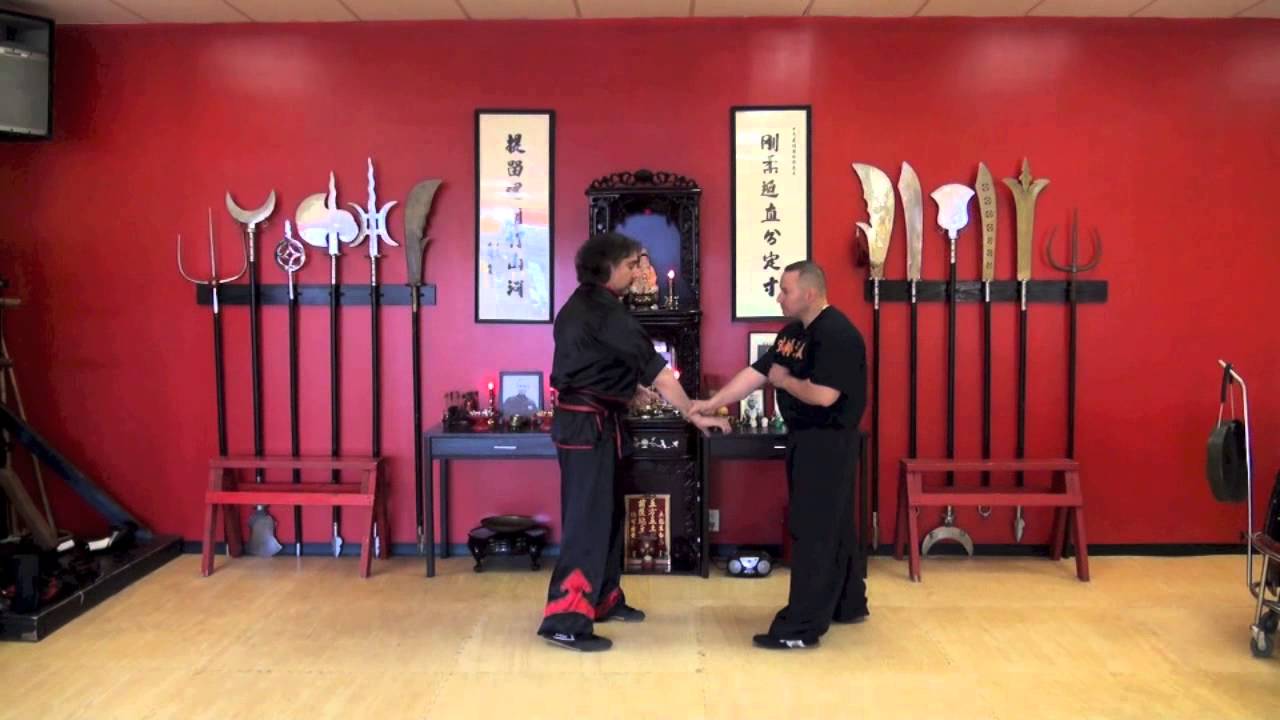 TEN TIGERS KUNG-FU : Technique of the Week "Dragon and Tiger Emerge"