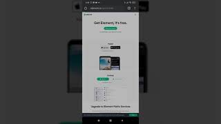 Setup Element Messenger di browser screenshot 5