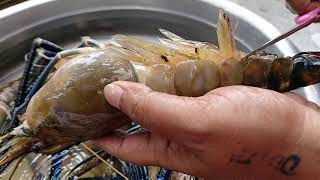 How To Clean Jumbo River Prawns |How To CleanAndcutBigShrimp