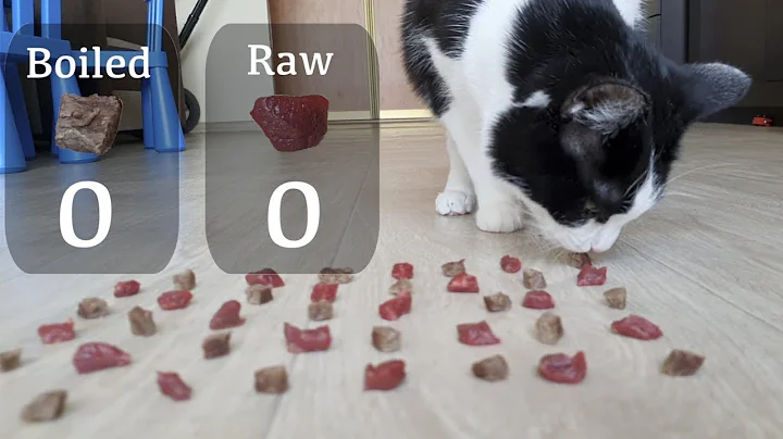 Raw or boiled meat? Which will the cat choose? - DayDayNews