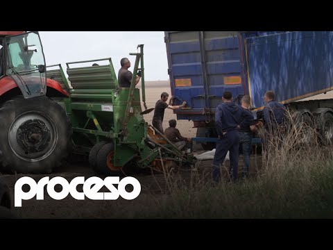 Campos minados y