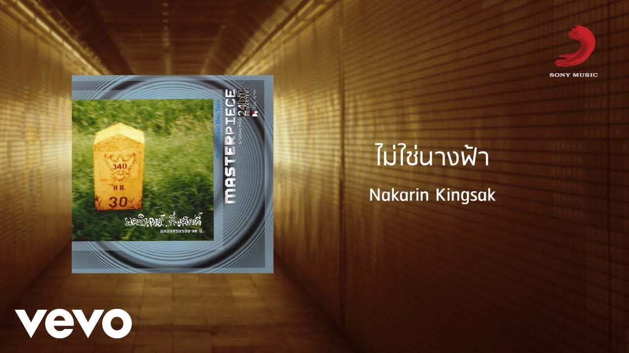 ปกเพลง ไม่ใช่นางฟ้า — PANG NAKARIN