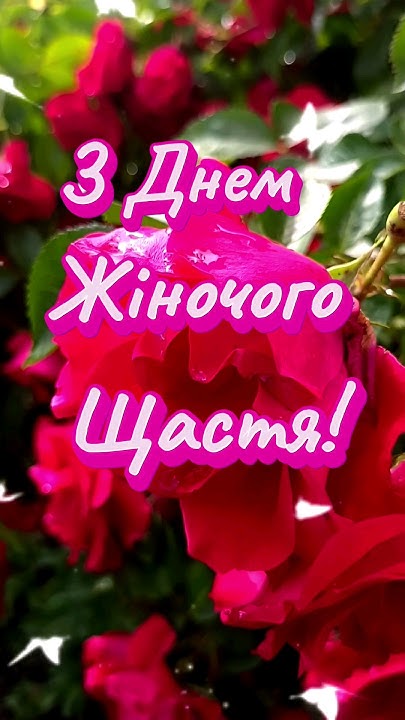 З ДНЕМ ЖІНОЧОГО ЩАСТЯ 🌹🌹🌹 ️ ️ #привітання #вітання #побажання - YouTube