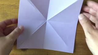 SD38 Math at Home Origami Butterfy