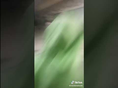 جاكي شان مصر هههههههههه