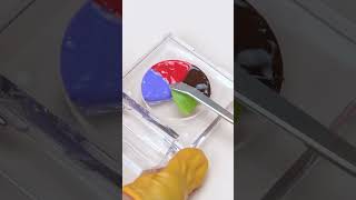 Turning 5 Lipstick Colors Into a Color Wheel Palette! 🌈💄✨  Satisfying Makeup ASMR #shorts