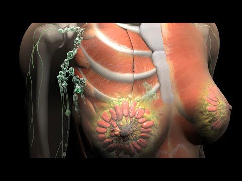 Vídeo: Supervivencia Del Cáncer De Mama: Estadísticas Y Hechos