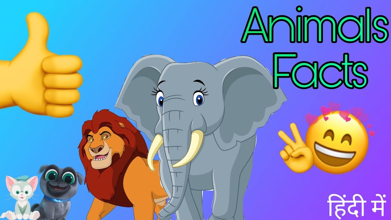 Facts about animals. Crazy about animals 2 класс. Crazy about animals. Crazy about animals p 16.