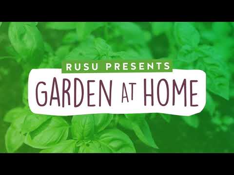 Video: Growing Seedlings At Home. Part 6