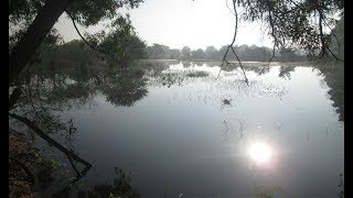- OUR LIFE-LAKE FILM - Water Solution - SACRED WILD ISLAND MARSHES [final wide850x480sound cut] 2hrs