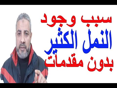 فيديو: ما معنى النمل؟