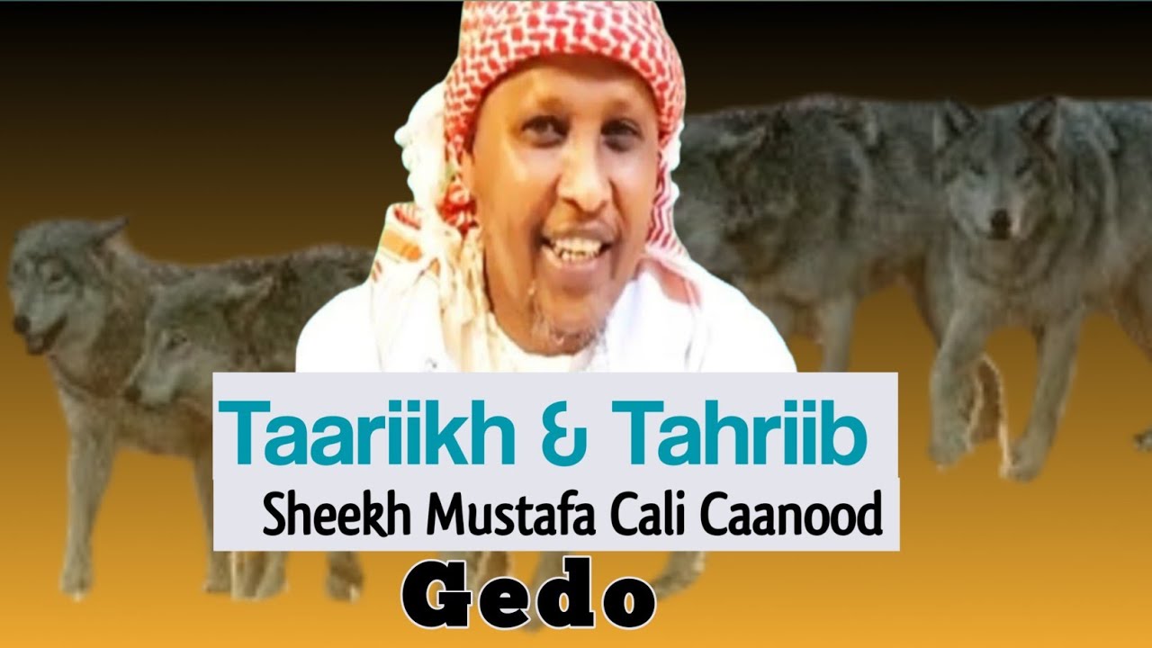Taariikh iyo Tahriib | Sheekh Mustafa Cali Caanood | Gedo
