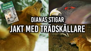 Jakt med Trädskällare - Dianas Stigar (1999)