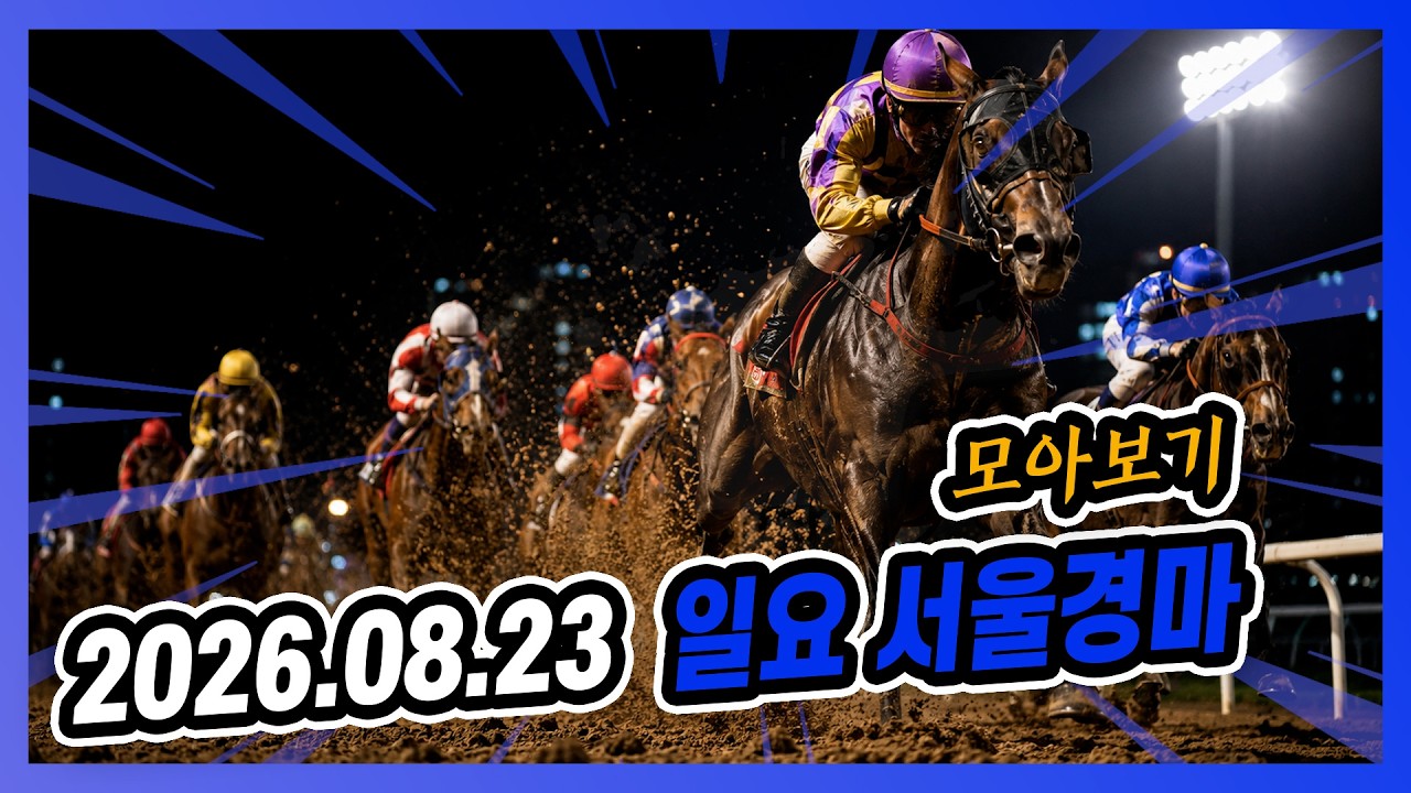 2026년 8월 23일 일요 서울경마 전체경주 모아보기
