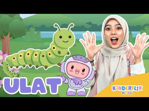 Ulat - Lagu Anak dan Balita Indonesia | Original Song - Kinderflix Music