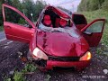 Погиб пассажир «Лада Калины» в ДТП с лосем в Пермском крае