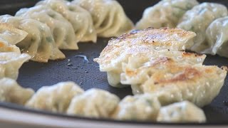 How to make Gyoza Dumplings