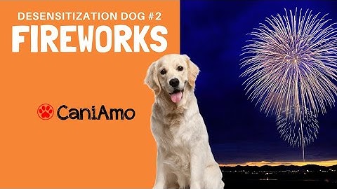 Fuochi d'artificio ATTENZIONE Desensitization dog #2 - Fireworks Sound,  (desensibilizzazione)