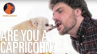 Horoscope for Capricorn: December 22 - January 19