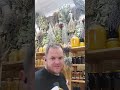 жировой гепатоз