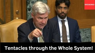 "Cruel, Idiotic, and Expensive!" Senator Whitehouse Questions Witnesses