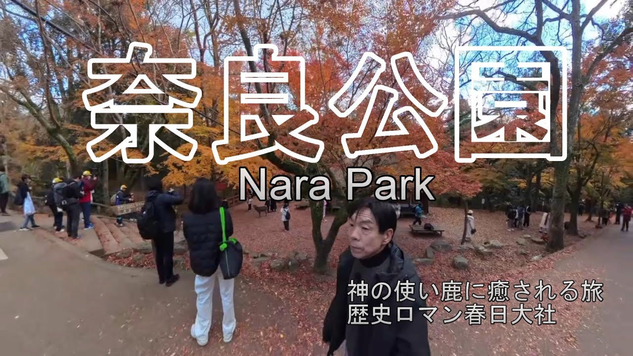 奈良公園・鹿と紅葉に癒される秋の旅｜春日大社への参道が素敵すぎ