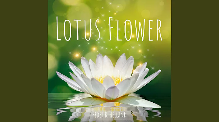 Lotus Flower - DayDayNews