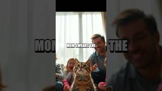The TV Remote Rhapsody