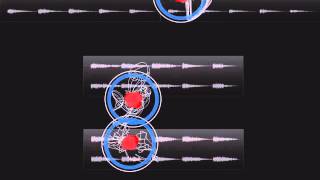 Borderlands Granular Semi-Generative Fuzz Guitar Demo