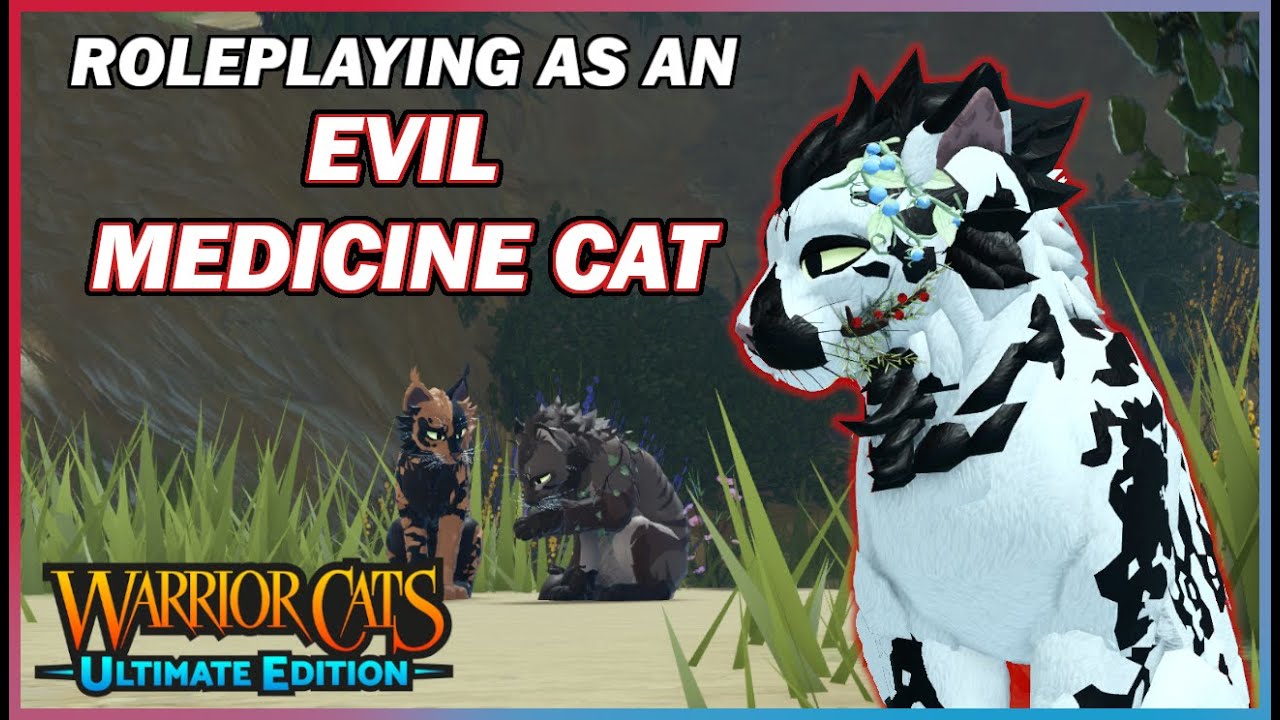 Roleplaying as an EVIL MEDCAT | Warrior Cats: Ultimate Edition