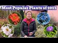 Best selling garden perennials of 2023